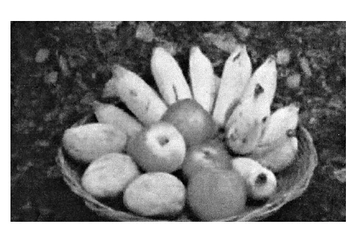 A grey-scale photograph of a basket full of apples, bananas and mangoes.