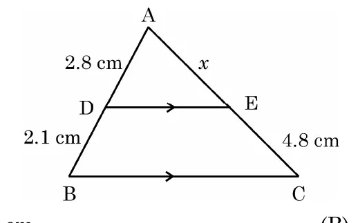 A triangle ABC with A at the top and DE parallel to the base BC. AD is 2.8 cm, DB is 2.1 cm, AE is x and EC is 4.8 cm.