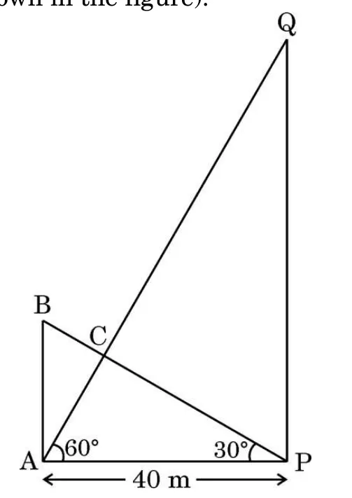 Two vertical poles on level ground 40 m apart: the short pole AB on the left and the tall pole PQ on the right. Wires run from B to P and from Q to A and cross at the coupling C. The angle at A is marked 60 degrees and the angle at P is marked 30 degrees.