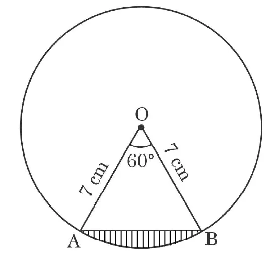 A circle of radius 7 cm with centre O. Two radii OA and OB, each marked 7 cm, make an angle of 60 degrees at O. The chord AB is drawn and the segment between it and the minor arc is shaded.