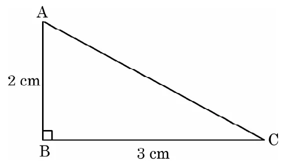 A right triangle ABC with the right angle at B at the bottom left. AB is vertical and 2 cm, and BC is horizontal and 3 cm.