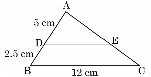 Triangle ABC with a line DE parallel to the base BC. AD is marked 5 cm, DB is 2.5 cm and BC is 12 cm.