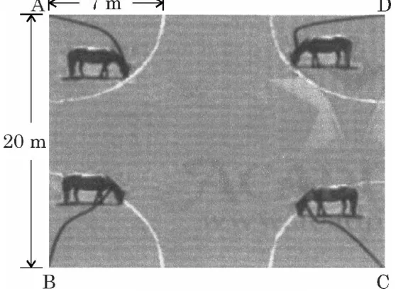 A square grass field ABCD of side 20 m with a horse at each corner. A dimension marks the 7 m rope at the top left corner and 20 m along the side.