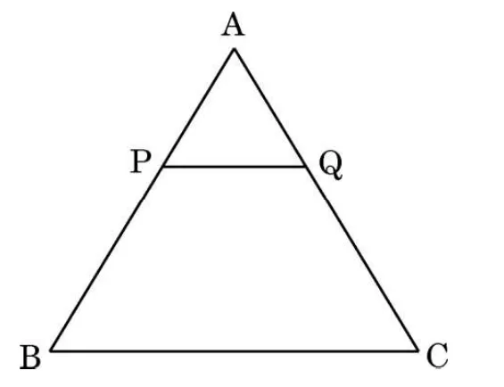 Triangle ABC with a line PQ drawn parallel to the base BC, with P on AB and Q on AC.