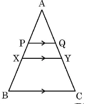 Triangle ABC with two lines PQ and XY drawn parallel to the base BC. P and X are on AB, Q and Y are on AC, with P and Q nearer the top A.