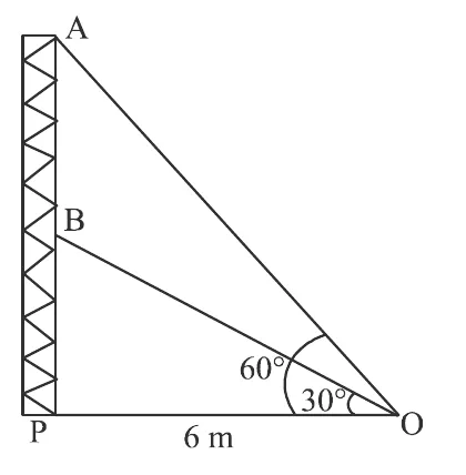 A vertical tower PA standing on the ground at P, with section B partway up and the top of section A at the top. Wires run from the ground point O, 6 m from P, to B and to A. The angle at O to B is marked 30 degrees and to A is marked 60 degrees.