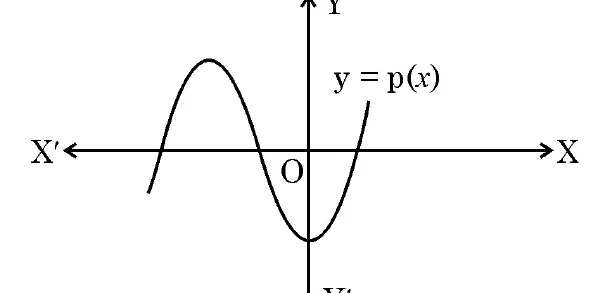 A wavy curve y equals p of x that starts below the x-axis on the left, crosses it going up, makes a peak, crosses down, dips to a trough below the axis and crosses up again, so it meets the x-axis three times.