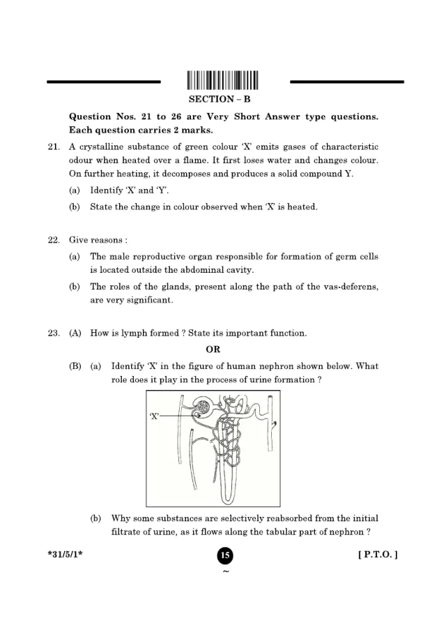Section B of the CBSE Class 10 Science 2025 paper, set 31/5/1