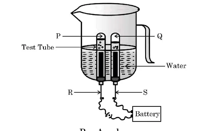 A beaker of water with two inverted test tubes, P and Q, over the electrodes R and S, which are joined to a battery. The tube P holds less gas than tube Q.