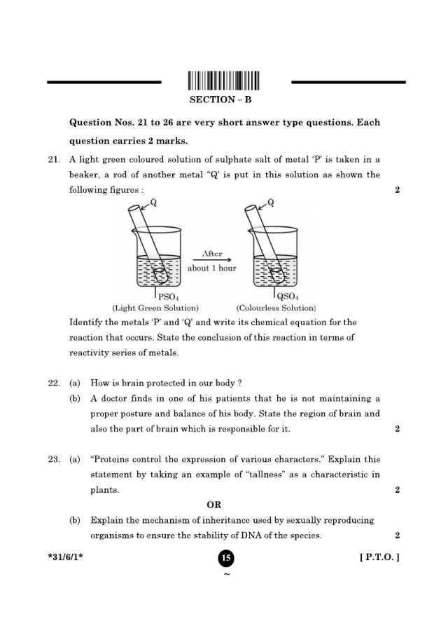 Section B of the CBSE Class 10 Science 2025 paper, set 31/6/1